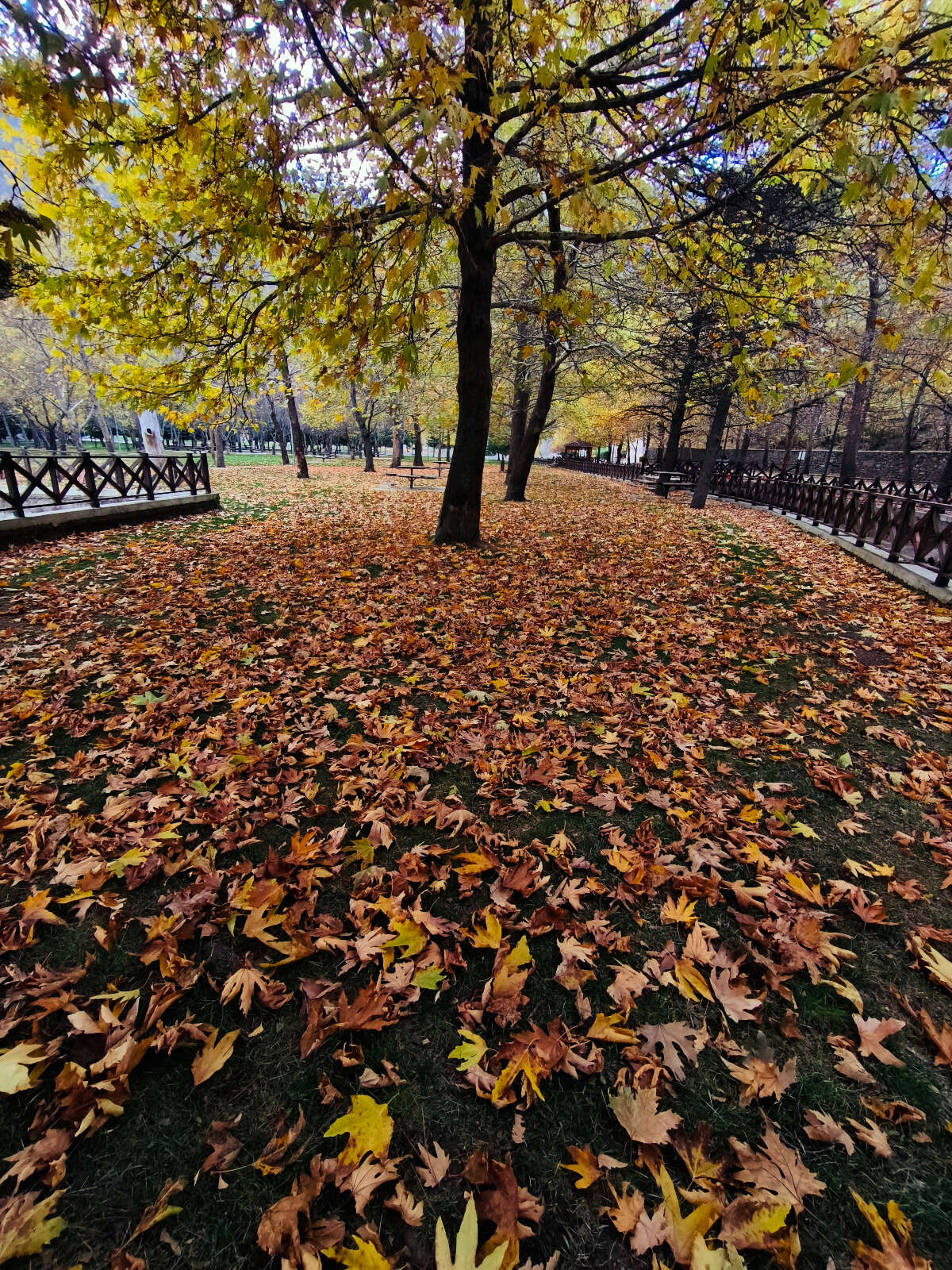 Konya’nın cennet köşesi sonbahar renkleriyle büyülüyor 27